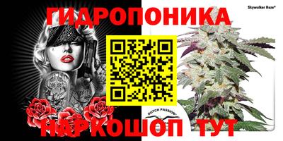 круглые Новокубанск