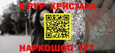 амф Новодвинск