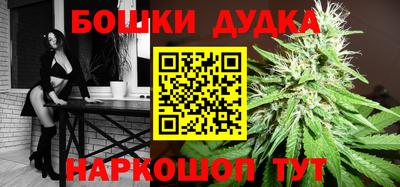 амф Новодвинск