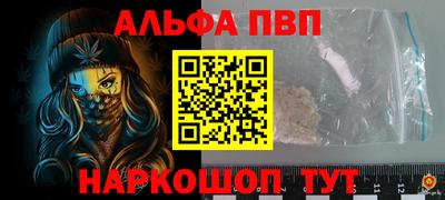 амф Новодвинск