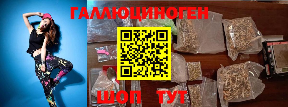 Алексеевка  Псилоцибиновые грибы GOLDEN TEACHER  Вход с VPN  Галлюциногенные грибы MAGIC MUSHROOMS 